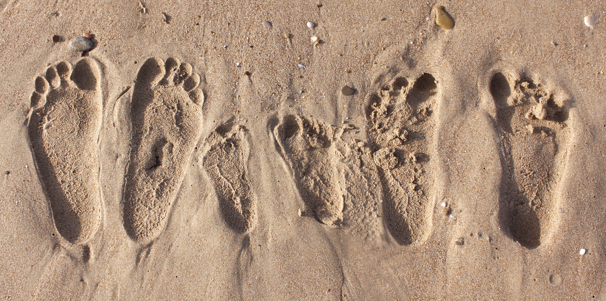 sand footprints logo image